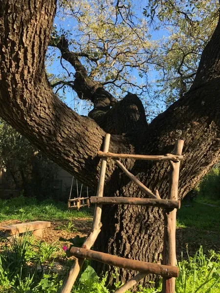 תרפיה באומנות