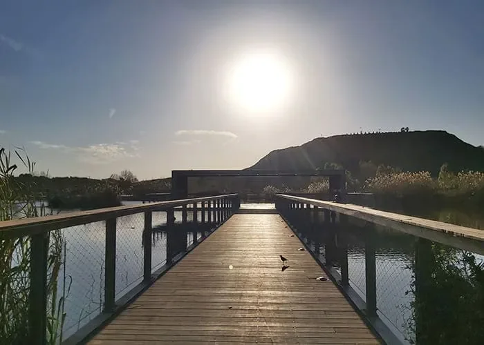 ליווי אישי בפוטותרפיה