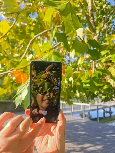 סדנת פוטותרפיה