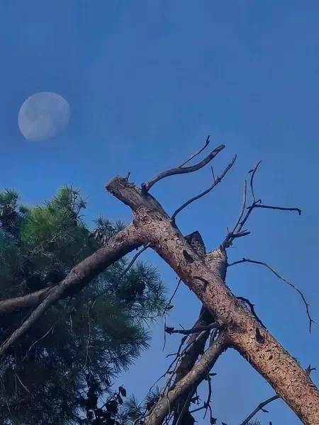 משתתפים בסדנה