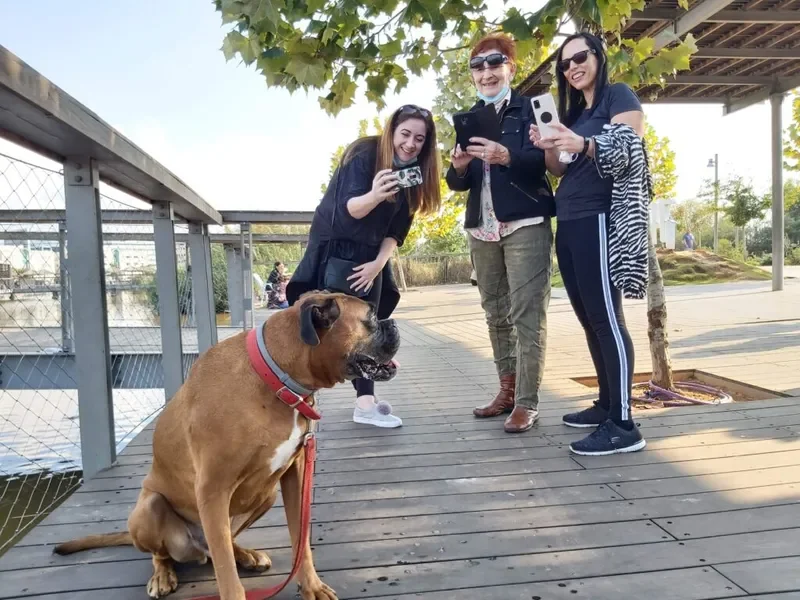 פעילות קבוצתית